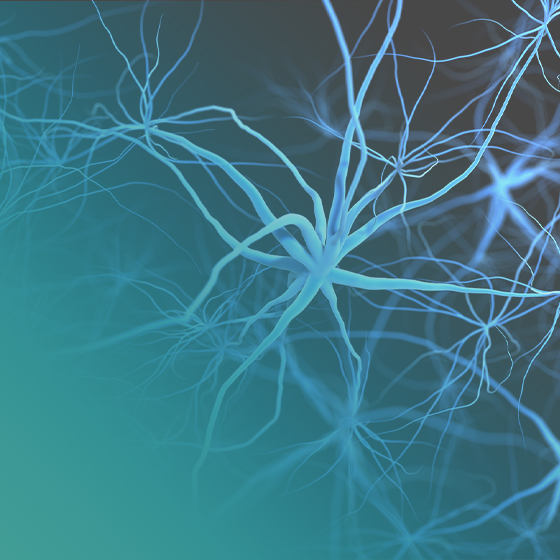 CNS