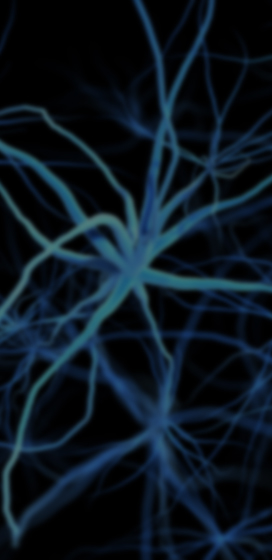 CNS